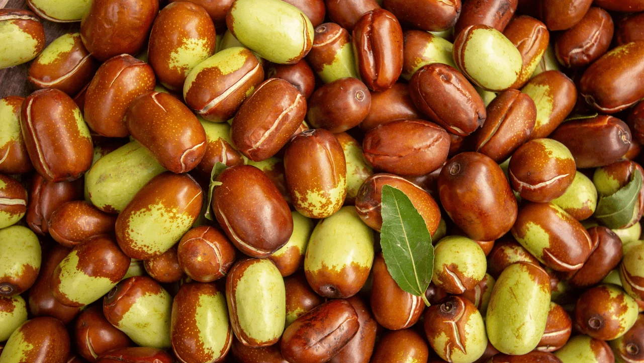 Jojoba oil